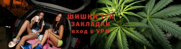 спиды Богородск