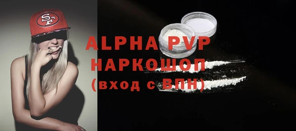 спиды Богородск