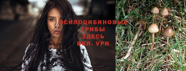 марихуана Богданович