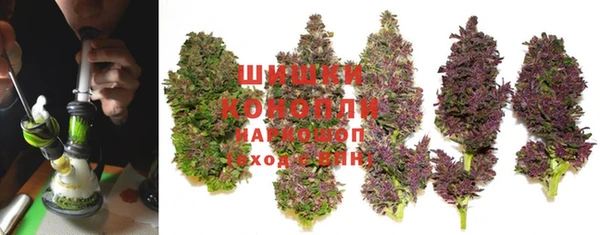 спиды Богородск